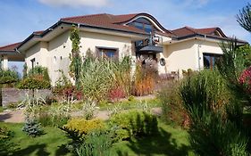 Villa Pro Musica - opcja śniadania